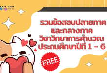 รวมข้อสอบปลายภาคและกลางภาค วิชาวิทยาการคำนวณ ประถมศึกษาปีที่ 1 - 6 ฟรี
